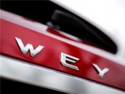 WEY P8SUVֵʱ